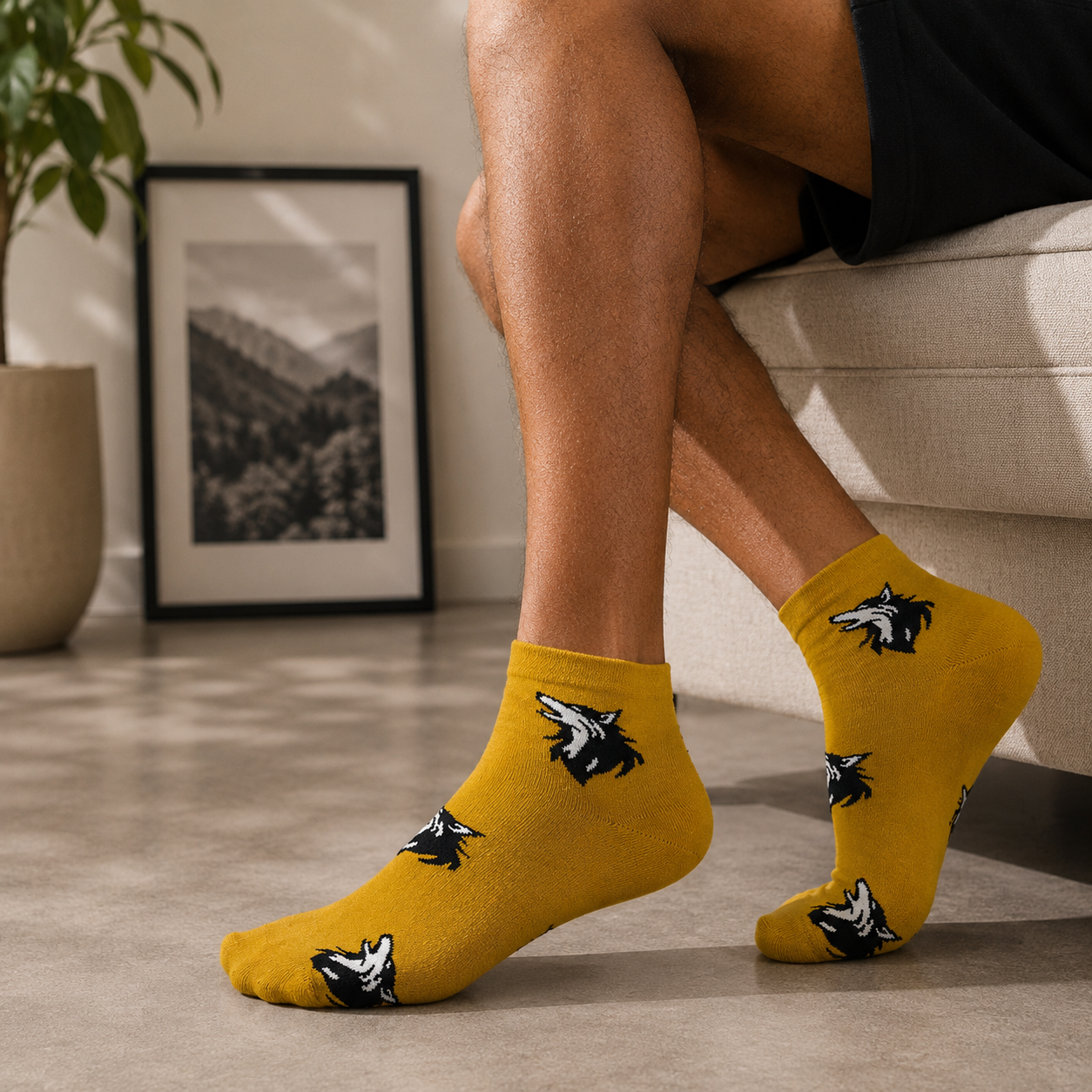 Hide & Howl Pack Of 3-Ankle Socks