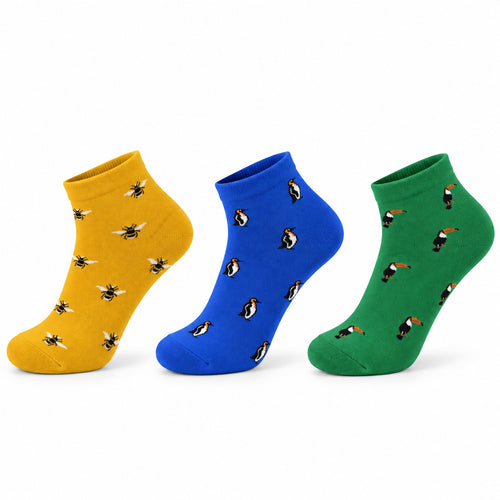 Waddle & Wing Pack Of 3-Ankle Socks