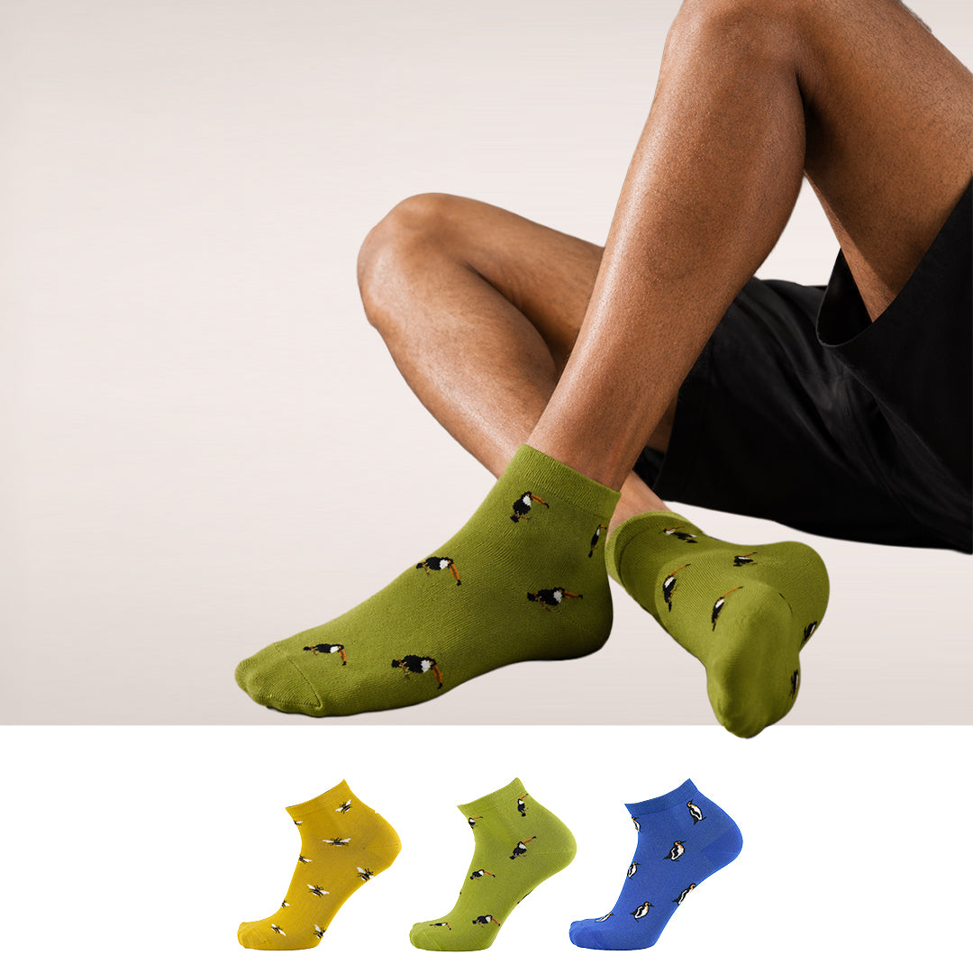 Waddle & Wing Pack Of 3-Ankle Socks